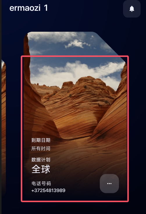 esim plus 卡片管理