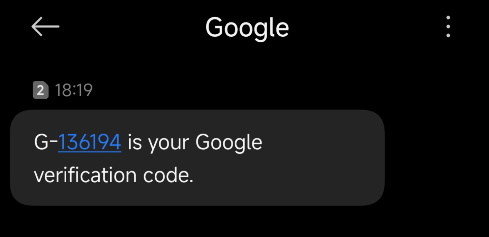 Google 验证码输入界面