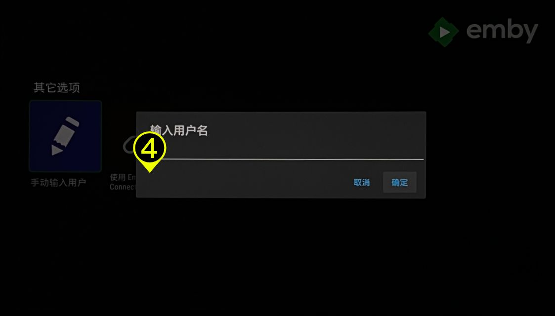 确认连接 Emby 节点
